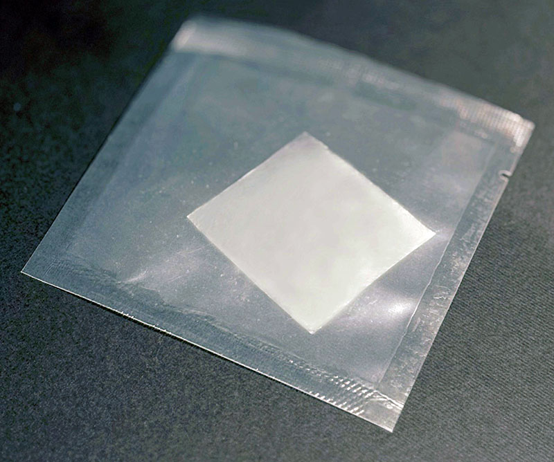 پرده آمنیوتیک